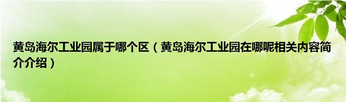 黄岛海尔工业园属于哪个区黄岛海尔工业园在哪呢相关内容简介介绍