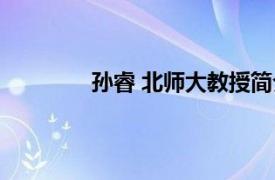 孙睿 北师大教授简介（孙睿 北师大教授）