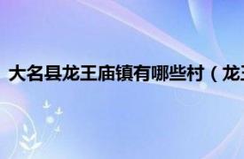 大名县龙王庙镇有哪些村（龙王庙 河北省邯郸市大名县下辖镇）