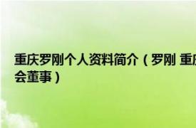 重庆罗刚个人资料简介（罗刚 重庆经开区投资集团有限公司总经理、董事会董事）