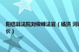 阳信县法院刘俊峰法官（杨洪 河南省信阳市中级人民法院审判监督庭原庭长）