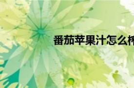 番茄苹果汁怎么榨好喝（番茄苹果汁）