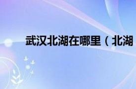 武汉北湖在哪里（北湖 湖北省武汉市江汉区北湖）