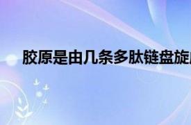 胶原是由几条多肽链盘旋成的三股螺旋结构（原胶原）