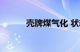 壳牌煤气化 状态（壳牌煤气化）