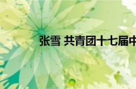 张雪 共青团十七届中央委员会候补委员公示