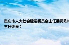 重庆市人大社会建设委员会主任委员陈彬（陈彬 重庆市第五届人民代表大会法制委员会主任委员）