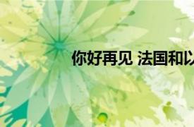 你好再见 法国和以色列合拍电影是哪部