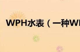 WPH水表（一种WPH可拆卸式水表外壳）