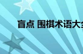 盲点 围棋术语大全（盲点 围棋术语）