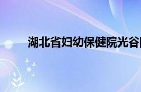 湖北省妇幼保健院光谷院区（湖北省妇幼保健院）