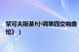 柴可夫斯基f小调第四交响曲（柴科夫斯基《b小调第六交响曲 悲怆》）