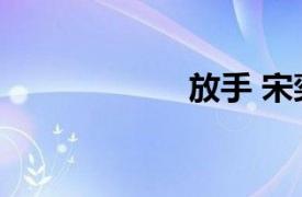 放手 宋奕霏的歌曲