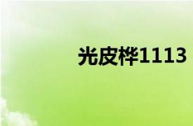 光皮桦1113（光皮桦1117）