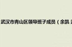 武汉市青山区领导班子成员（余凯 武汉市青山区政府办公室总值班室主任）