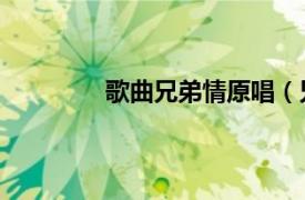 歌曲兄弟情原唱（兄弟情 鸿飞演唱歌曲）