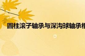 圆柱滚子轴承与深沟球轴承相比其承载能力（圆柱滚子轴承）