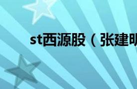 st西源股（张建明 ST西源公司董事）