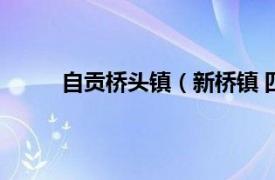 自贡桥头镇（新桥镇 四川省自贡市荣县新桥镇）