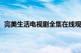 完美生活电视剧全集在线观看（完美生活 2018年电视剧）