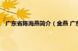 广东省陈海燕简介（金燕 广东省第十三届人民代表大会代表）