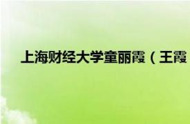 上海财经大学童丽霞（王霞 上海财经大学会计学院副教授）