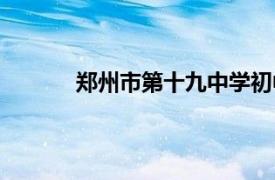 郑州市第十九中学初中部（郑州市第十九中）