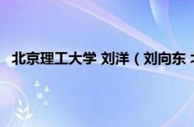 北京理工大学 刘洋（刘向东 北京理工大学自动化学院副院长）