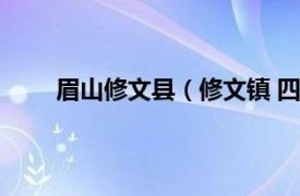 眉山修文县（修文镇 四川省眉山市东坡区下辖镇）