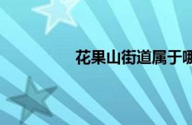 花果山街道属于哪个区（花果山街道）