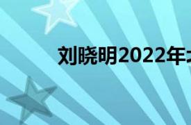 刘晓明2022年北京冬奥会火炬手