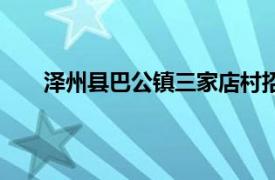 泽州县巴公镇三家店村招标（泽州县巴公镇三家店）