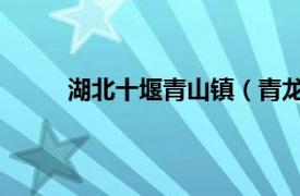 湖北十堰青山镇（青龙山 湖北省十堰市青龙山）