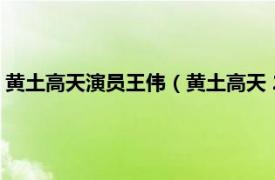 黄土高天演员王伟（黄土高天 2018年董勇、王海燕主演电视剧）