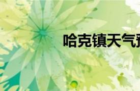 哈克镇天气预报（哈克镇）