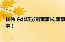 崔伟 东北证券副董事长,董事长分工（崔伟 东北证券副董事长董事）