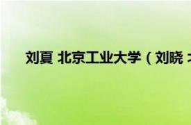 刘夏 北京工业大学（刘晓 北京工业大学材料学院副教授）