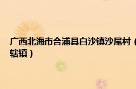 广西北海市合浦县白沙镇沙尾村（沙田镇 广西壮族自治区北海市合浦县下辖镇）