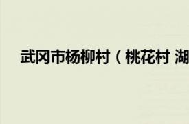 武冈市杨柳村（桃花村 湖南省武冈市西门街道下辖村）