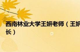 西南林业大学王妍老师（王妍 西南林业大学生态与环境学院副院长）