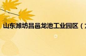 山东潍坊昌邑龙池工业园区（龙池镇 山东省潍坊市昌邑市辖镇）