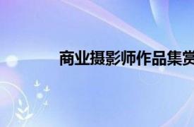 商业摄影师作品集赏析（商业摄影 第二版）