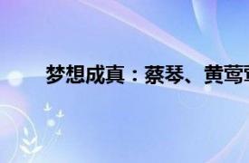 梦想成真：蔡琴、黄莺莺、朱莉和王芷蕾合唱歌曲