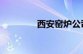 西安窑炉公司（西周窑炉）