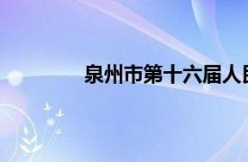 泉州市第十六届人民代表大会代表王炳南