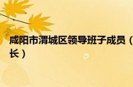 咸阳市渭城区领导班子成员（王玉环 咸阳市渭城区人民政府副区长）