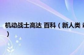 机动战士高达 百科（新人类 动画《机动战士高达》系列中的术语）