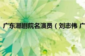 广东潮剧院名演员（刘志伟 广东省戏剧家协会会员、潮剧演员）