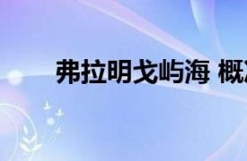 弗拉明戈屿海 概况（弗拉明戈屿海）