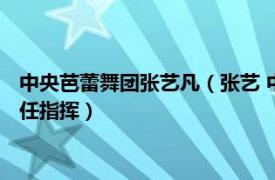 中央芭蕾舞团张艺凡（张艺 中央芭蕾舞团副团长、艺术总监、常任指挥）